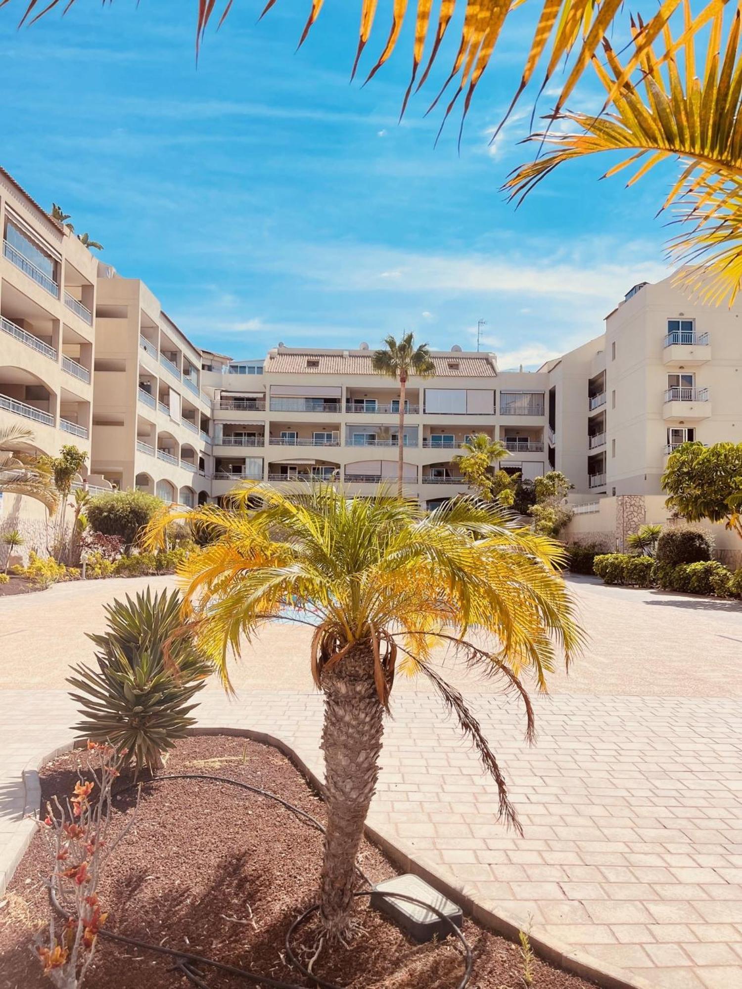 شقة Palm Mar Penthouse Duplex المظهر الخارجي الصورة